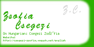 zsofia csegezi business card